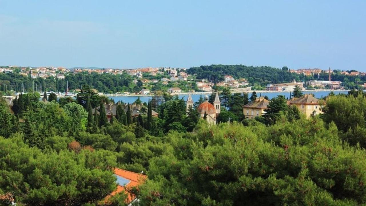 Studio Sea View Borik 罗维尼 外观 照片